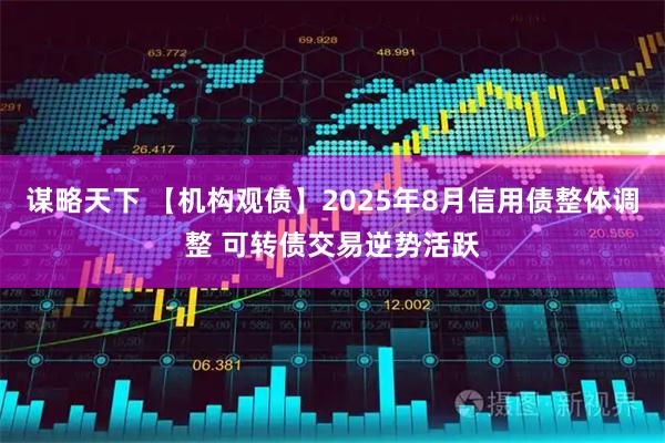 谋略天下 【机构观债】2025年8月信用债整体调整 可转债交易逆势活跃