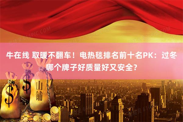 牛在线 取暖不翻车！电热毯排名前十名PK：过冬哪个牌子好质量好又安全？