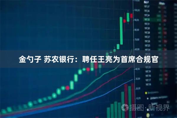 金勺子 苏农银行：聘任王亮为首席合规官
