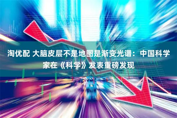 淘优配 大脑皮层不是地图是渐变光谱：中国科学家在《科学》发表重磅发现