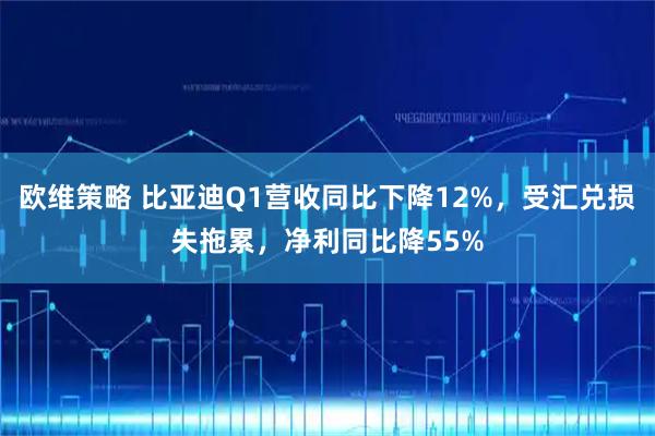 欧维策略 比亚迪Q1营收同比下降12%，受汇兑损失拖累，净利同比降55%